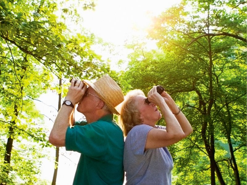 Benefits of tropical climate for seniors