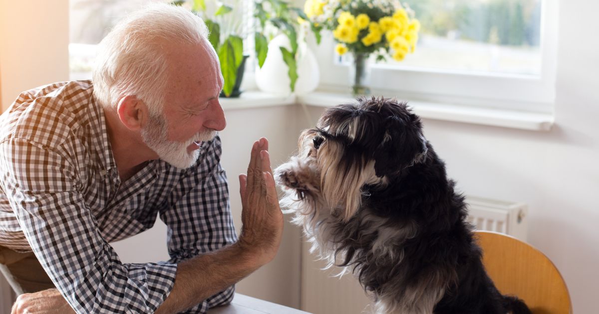 Pet-Friendly Expat Destinations